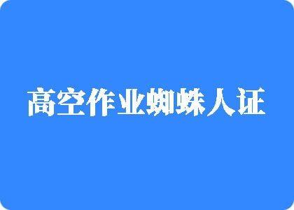 男生插女生啊啊啊骚的视频高空作业蜘蛛人证