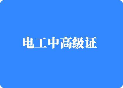 男日女免费网电工中高级证